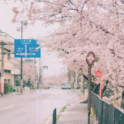 酷爱原地踩奶的小猫，等命定的主人接她回家@上海