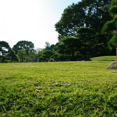 视频早安北京｜今天是9月19日，今夜至明天白天有一次明显降雨过程